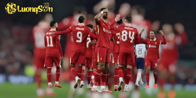 Liverpool Đấu Với Tottenham: Cơn Lốc Mạnh Mẽ Tại Anfield 2 Cody Gakpo mở đầu tỉ số